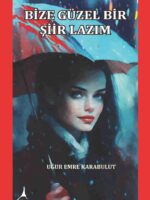 BİZE GÜZEL BİR ŞİİR LAZIM